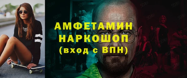 индика Армянск