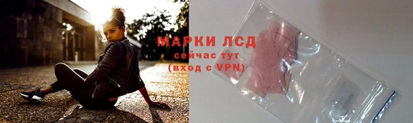 стаф Алексин