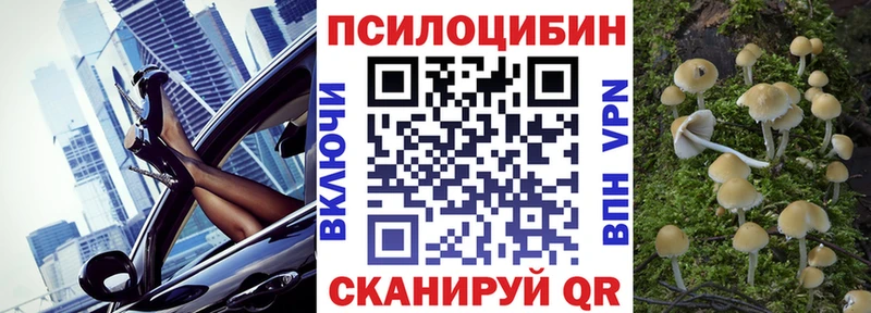Галлюциногенные грибы MAGIC MUSHROOMS  Петропавловск-Камчатский 