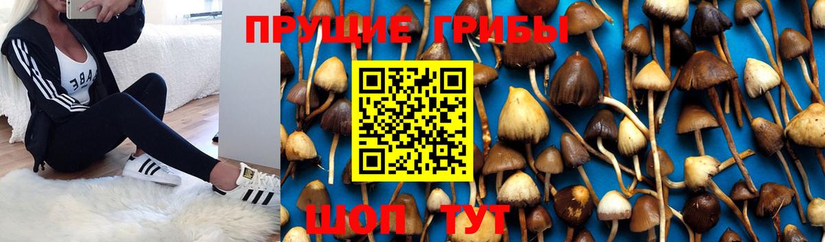 Петропавловск-Камчатский  Псилоцибиновые грибы Magic Shrooms  Галлюциногенные грибы мицелий  Вход с VPN 